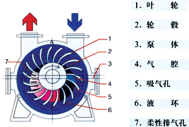 水环真空泵